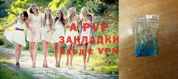 шишки Горно-Алтайск