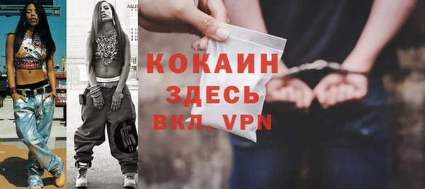 шишки Горно-Алтайск
