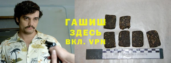 шишки Горно-Алтайск
