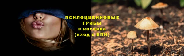 бутират Горнозаводск