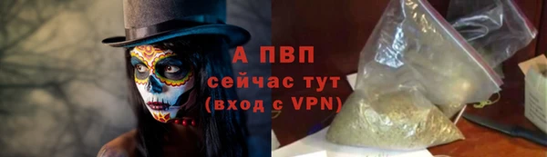 шишки Горно-Алтайск