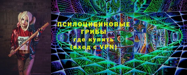 прущая мука Гусиноозёрск
