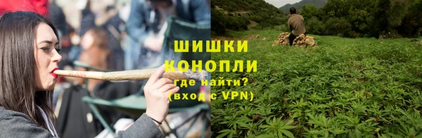 бутират Горнозаводск