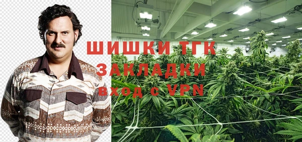 шишки Горно-Алтайск