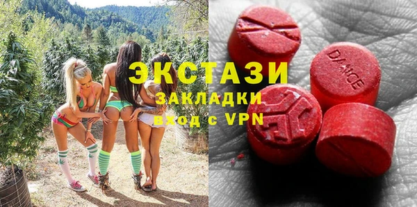 шишки Горно-Алтайск