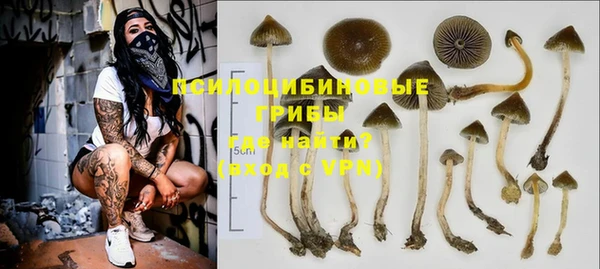ALPHA-PVP Горняк