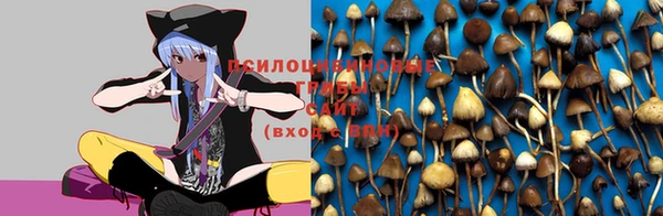 бутират Гусев